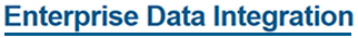 Enterprise Data Integration Link