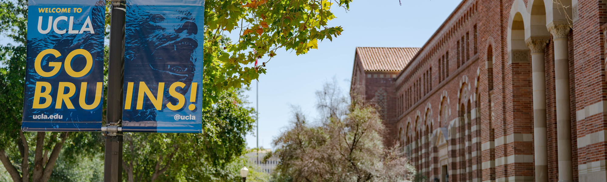 Bruin Walk highlighting Go Bruins banner