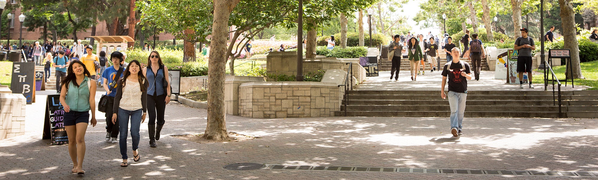 Students walking along Bruin Walk, a tree-lined campus pathway.