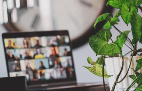 laptop open near green plant with zoom meeting