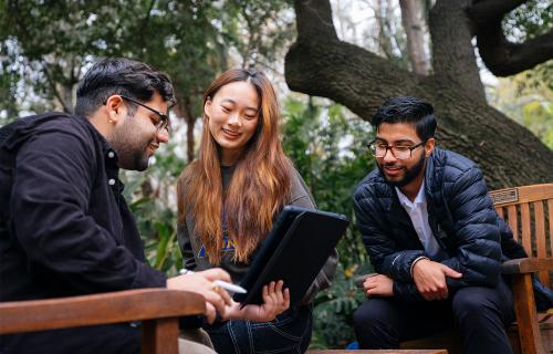 Three people collaborating outside.