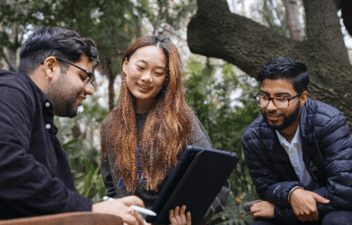 Three students collaborating at UCLA's Botanical Gardens