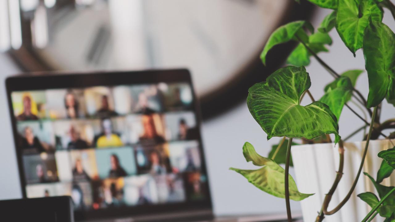 laptop open near green plant with zoom meeting