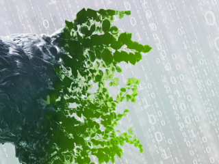Bruin bear head in front of a background of binary code