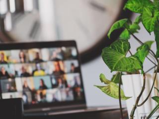 laptop open near green plant with zoom meeting