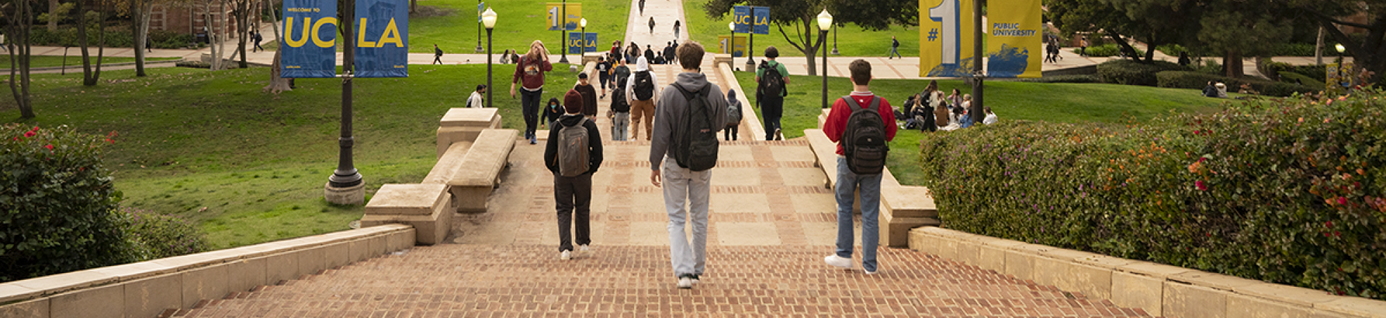 students walking down UCLA Janss Steps