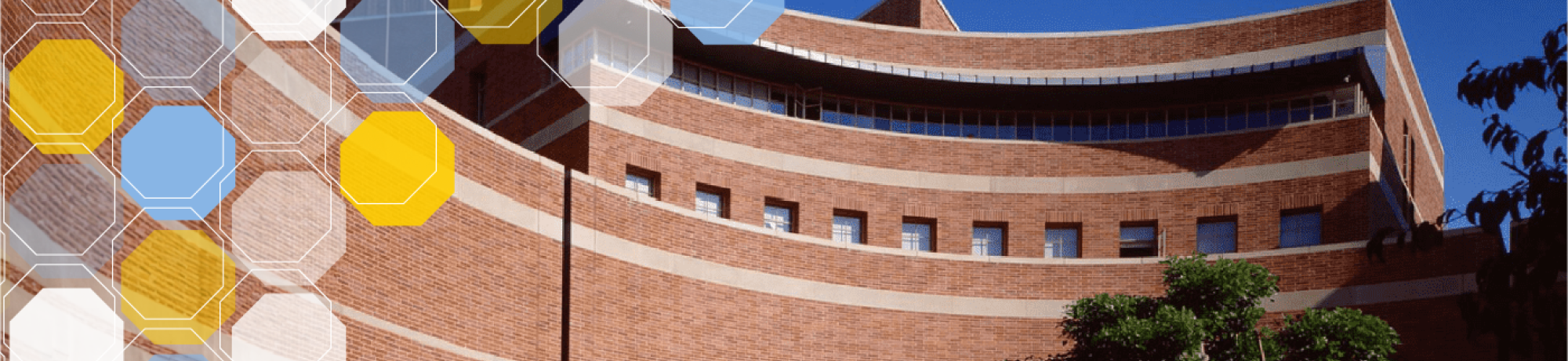 campus photo