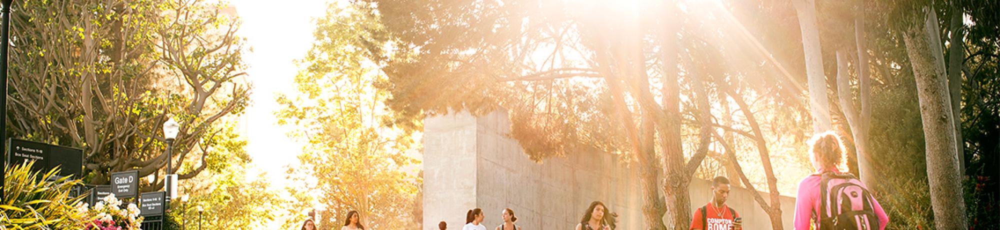 UCLA Campus